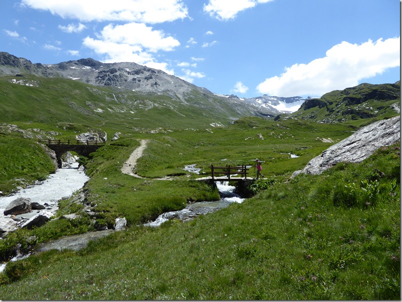 Nature sauvage