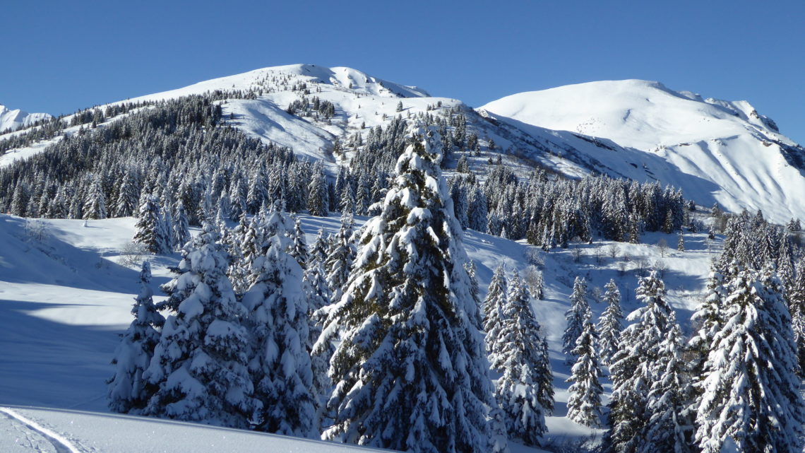 Ski de randonnée Croisse Baulet