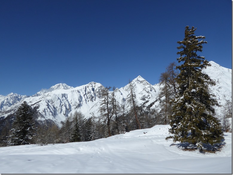 sommets et mont blanc
