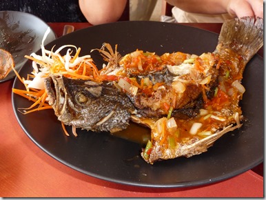 Poissons