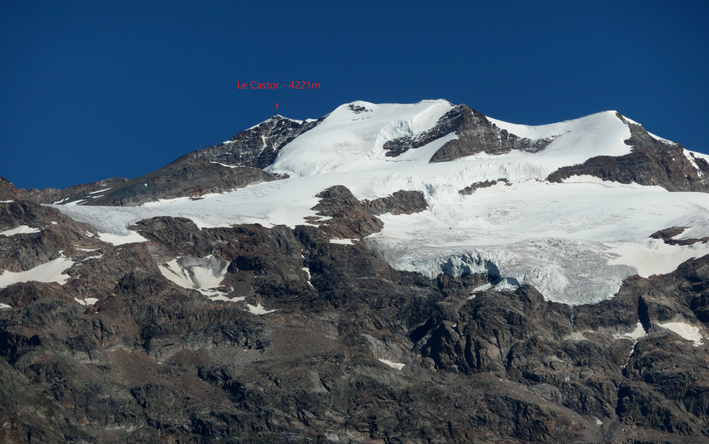 Le Castor