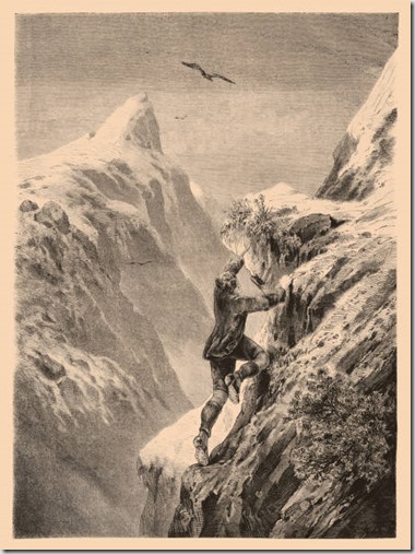 Illustration of a The Edelweiss by Theodor Alexander Weber
